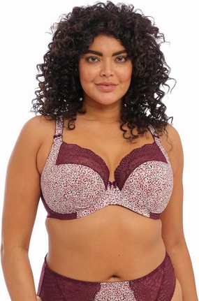 Elomi Women's Plus Size Lucie Stretch Lace Underwire Plunge Bra