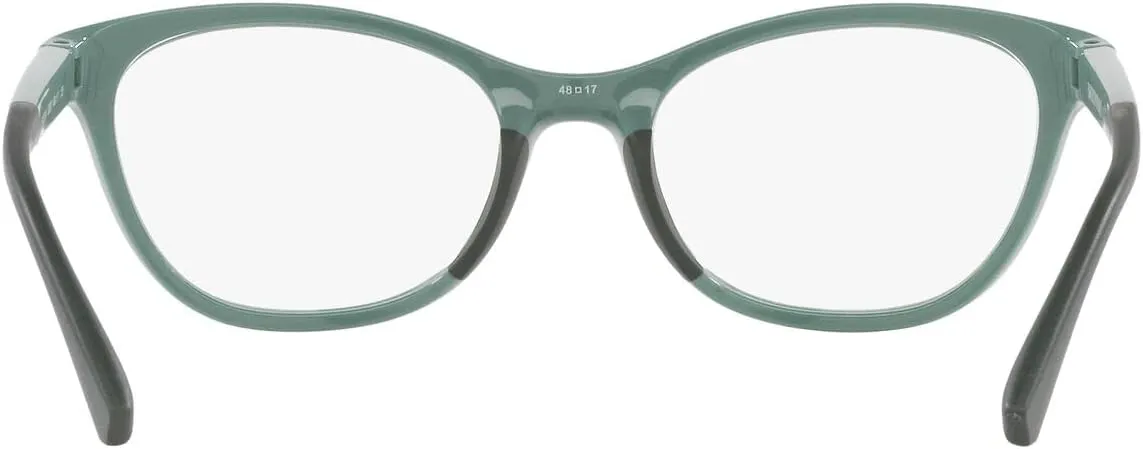 Emporio Armani Women's Ea3204 Cat Eye Sunglasses