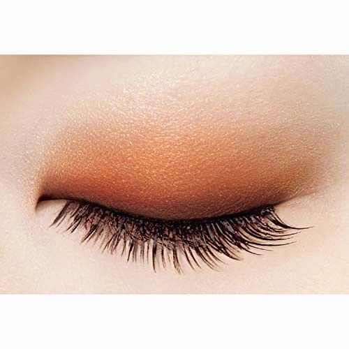 excel Skinny Rich Shadow SR05 (Warm Brown) Palette Eye Shadow