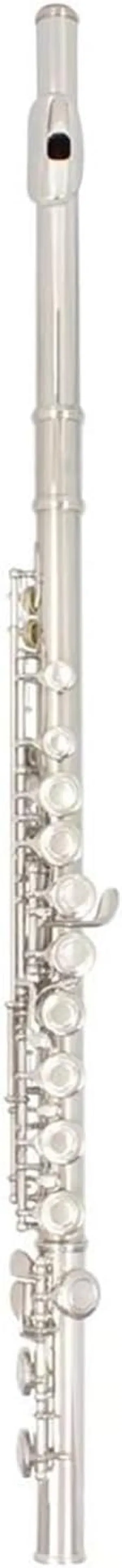 flute 16 Hole Flute Silver Plated C Key Flute Instrument With Handbag Leather Box