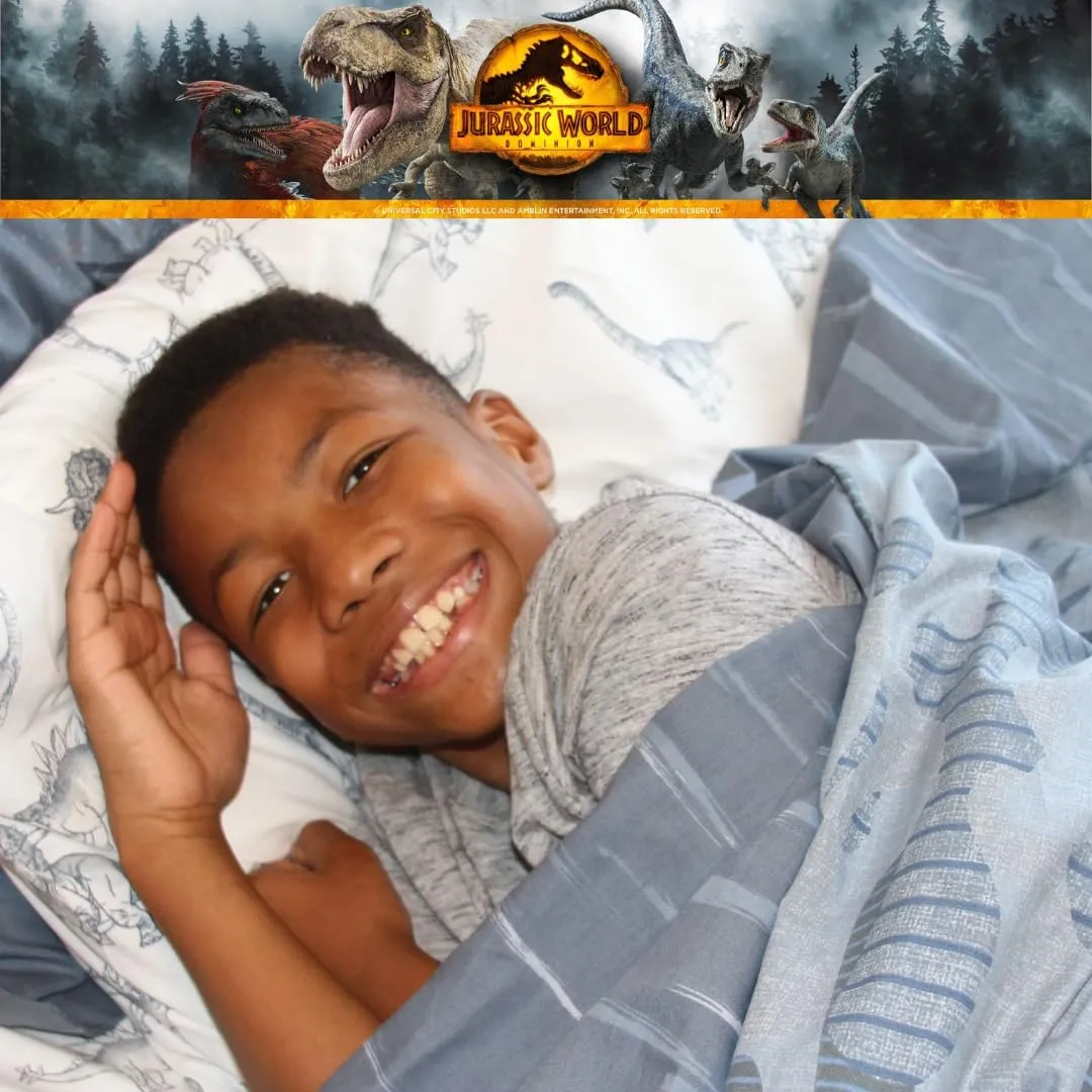 Franco Jurassic World Kids Bedding Super Soft Premium Organic Cotton Duvet Cover with Sham, 2 Piece Twin Size, (Officially Licensed Product)