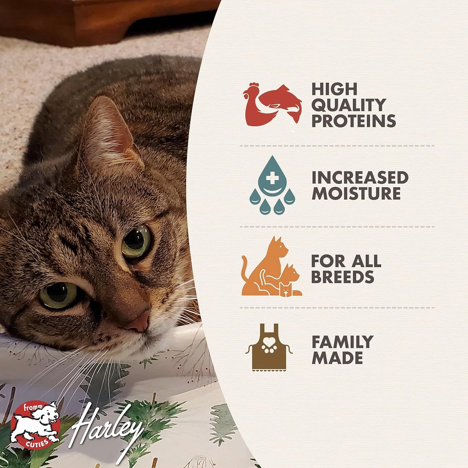 Fromm Indoor Gold Chicken & Salmon Pate Cat Food - Premium Wet Cat Food - Chicken Recipe - Case of (12) 5.5 oz Cans