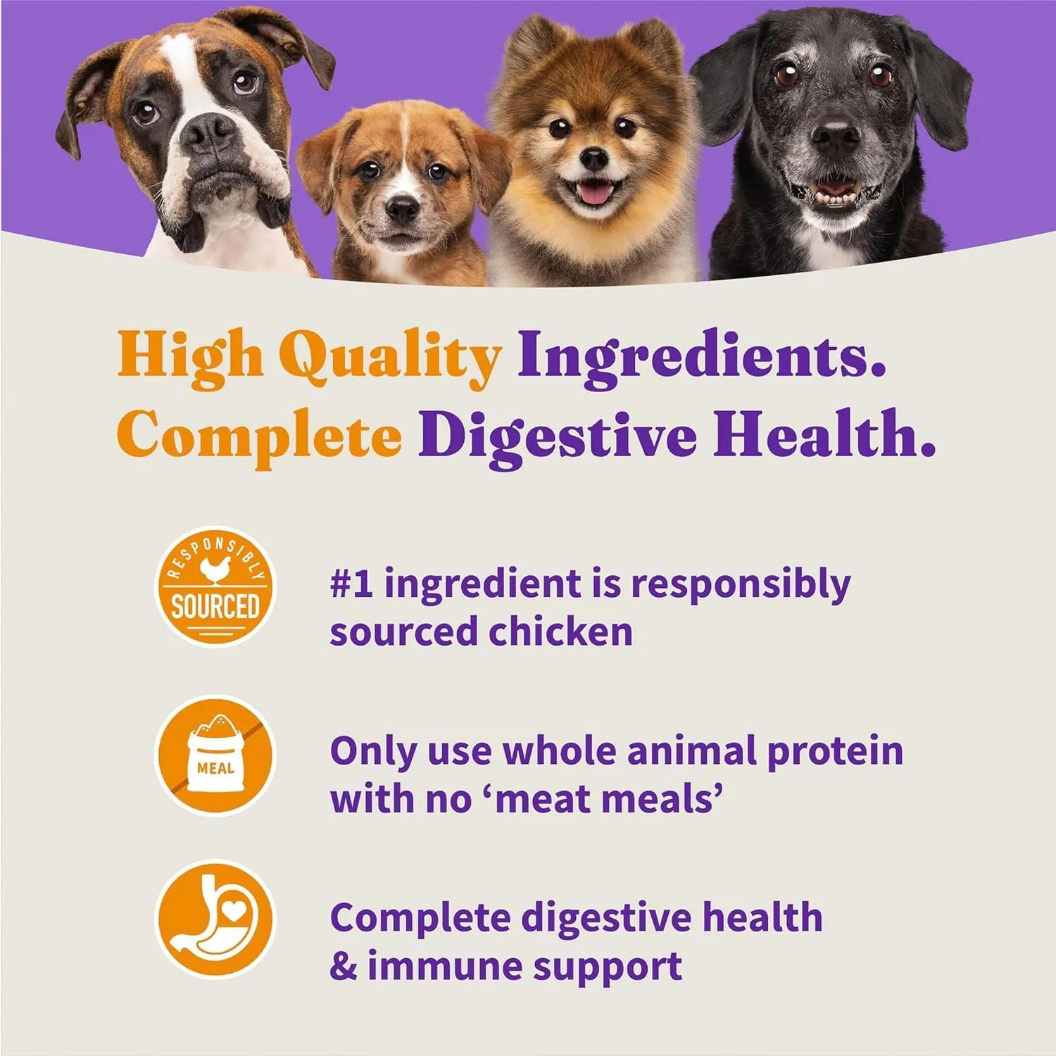 Halo Holistic Puppy Food, Cage Free Chicken & Brown Rice Recipe, Healthy Grains Dry Dog Food, Complete Digestive Health, 10 lb Bag