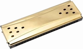 Harmonica 24 Holes Tremolo Mouth Musical Double faced Harmonica(Gold)