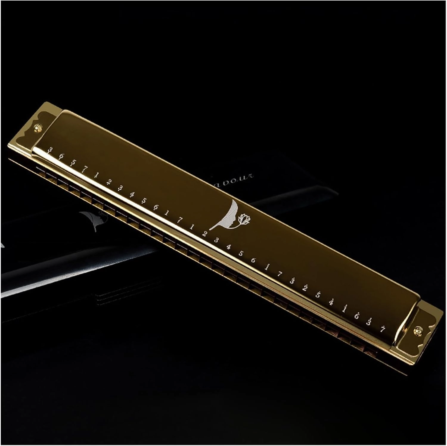 Harmonica beginner 28 hole C key polyphonic performance instrument(Gold)