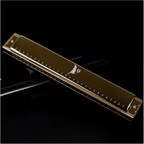 Harmonica beginner 28 hole C key polyphonic performance instrument(Gold)