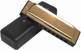 Harmonica Diatonic C Key Mouth for Beginner Professional Performance 10 Holes(Gold)