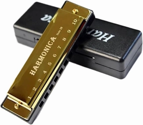 Harmonica Key Of C 10 Hole Diatonic With Case For Beginner(Gold)