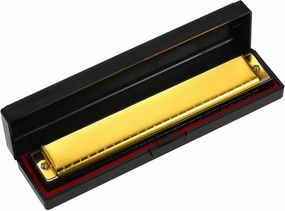 Harmonica Professional Harp Armonica Key of C 24 Hole Polyphony Diatonic Mouth Organ with Case for Blues Folk(Gold)