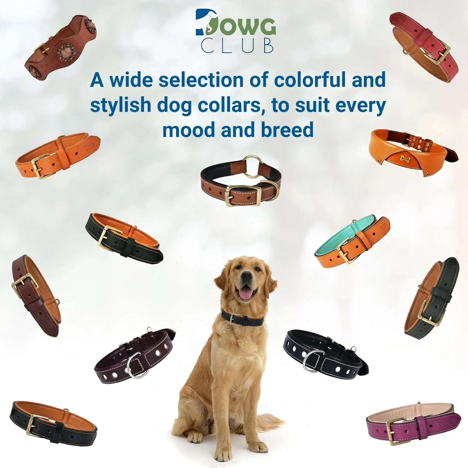 Leather Dog Collar | Dog Collar for Large Dogs, 1.25 Inch Wide, Brown | Genuine, Full Grain, Heavy Duty, Comfortable, Inner Soft Padding | (Large (Fit Neck Size 18.5"-22.5"), Brown)