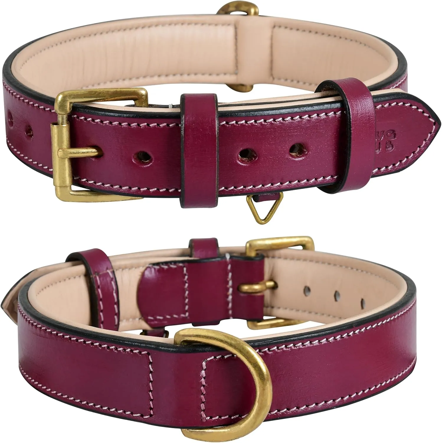 Leather Dog Collar - Pink, Medium - Handcrafted, Soft Padded Collar with Brass Buckle, Stylish & Durable (Medium (Fit Neck Size 14.5"-18.5"), Dark Pink)