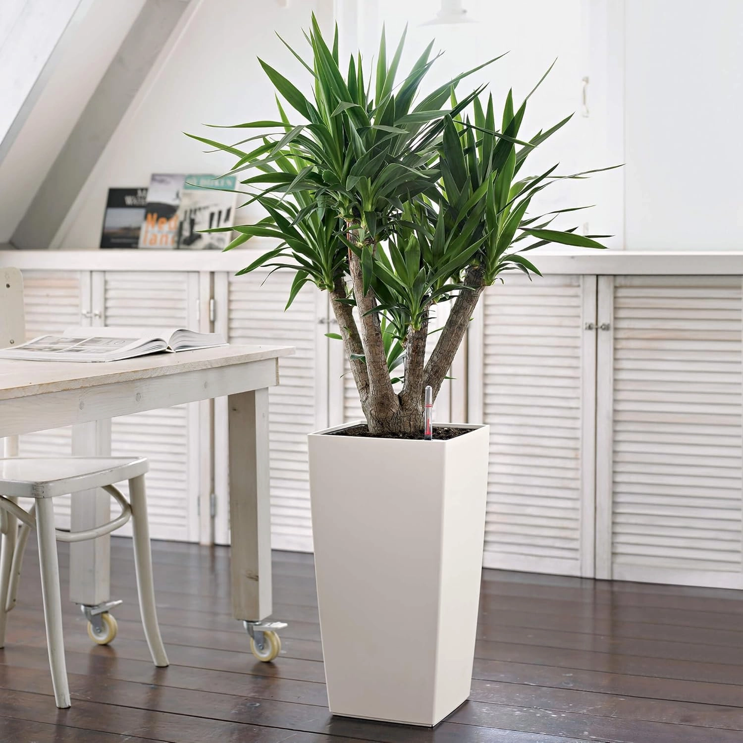 Lechuza 13130 Cubico Color 30 Self-Watering Planter for Indoor and Outdoor Use, 12" x 12" x 22", White Matte