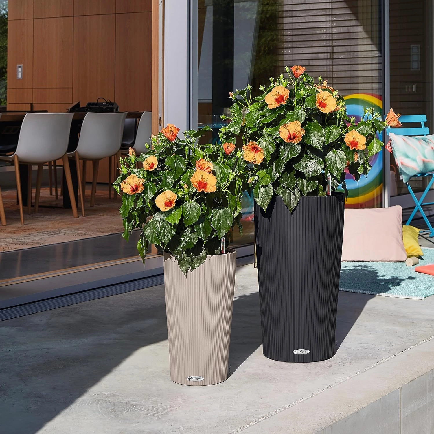 Lechuza 13948 Clindro 23 Self-Watering Planter for Indoor and Outdoor Use, 9" x 16", Sand Brown