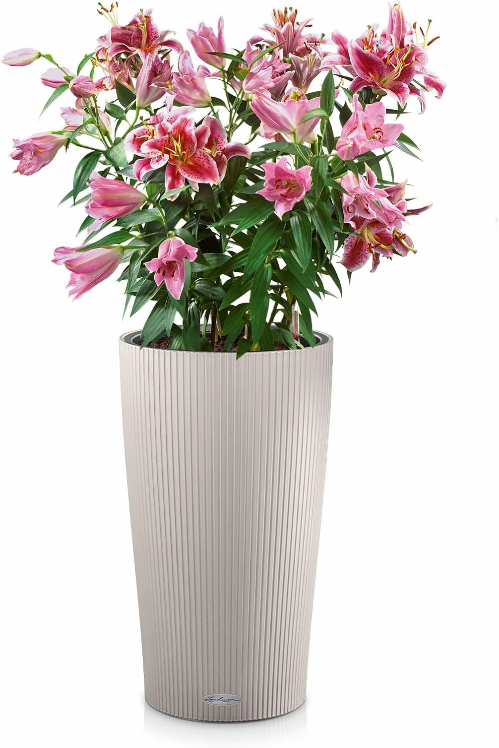 Lechuza 13948 Clindro 23 Self-Watering Planter for Indoor and Outdoor Use, 9" x 16", Sand Brown
