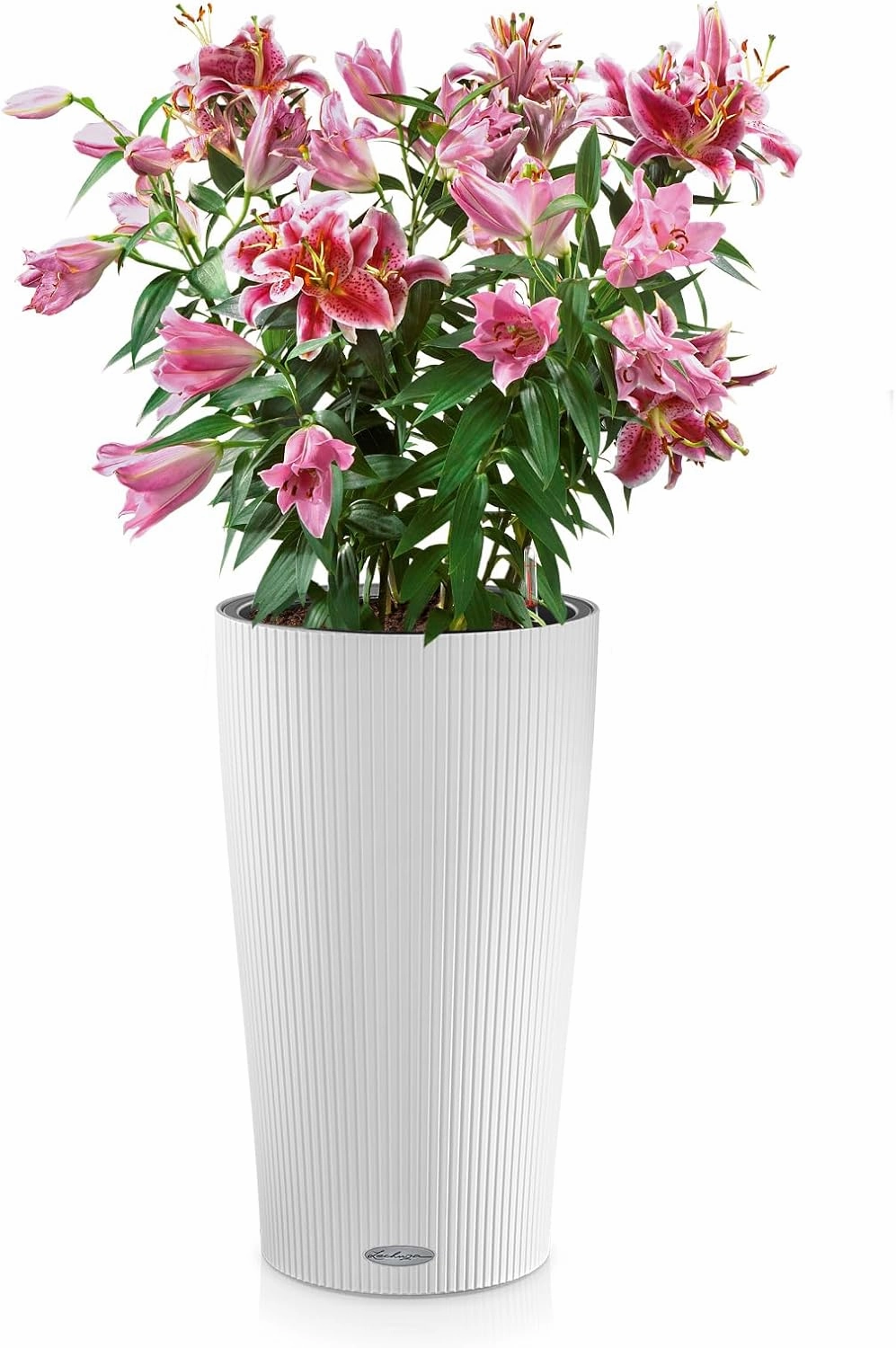 Lechuza Cilindro Color 23, Self-Watering Garden Planter for Indoor and Outdoor Use, 9" x 9" x 16", White Matte