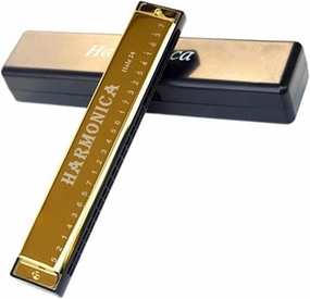 Music Lovers Single Tone 24 Hole C Harmonica Instrument(Gold)