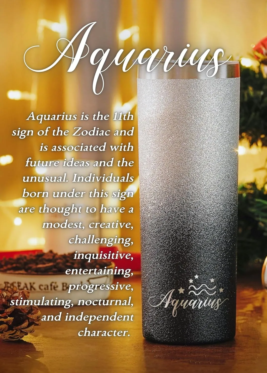 Onebttl Zodiac Gifts for Women, Best Friend Birthday Gifts for Her, 20oz Stainless Steel Tumbler, Engraved Logo Black and Silver, Aquarius