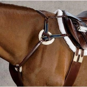 Ovation Elite 5-Point Padded Breastplate