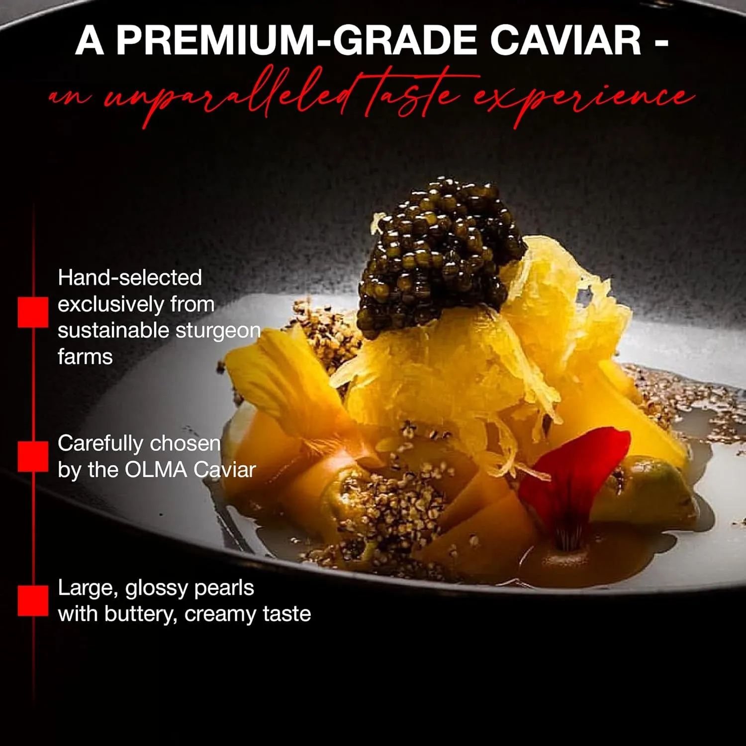 OVERNIGHT SHIPPING- OLMA Kaluga Sturgeon Black Caviar - Large Pearly Grains, Smooth Flavor, Superior Grade - 4.4 oz / 125 g