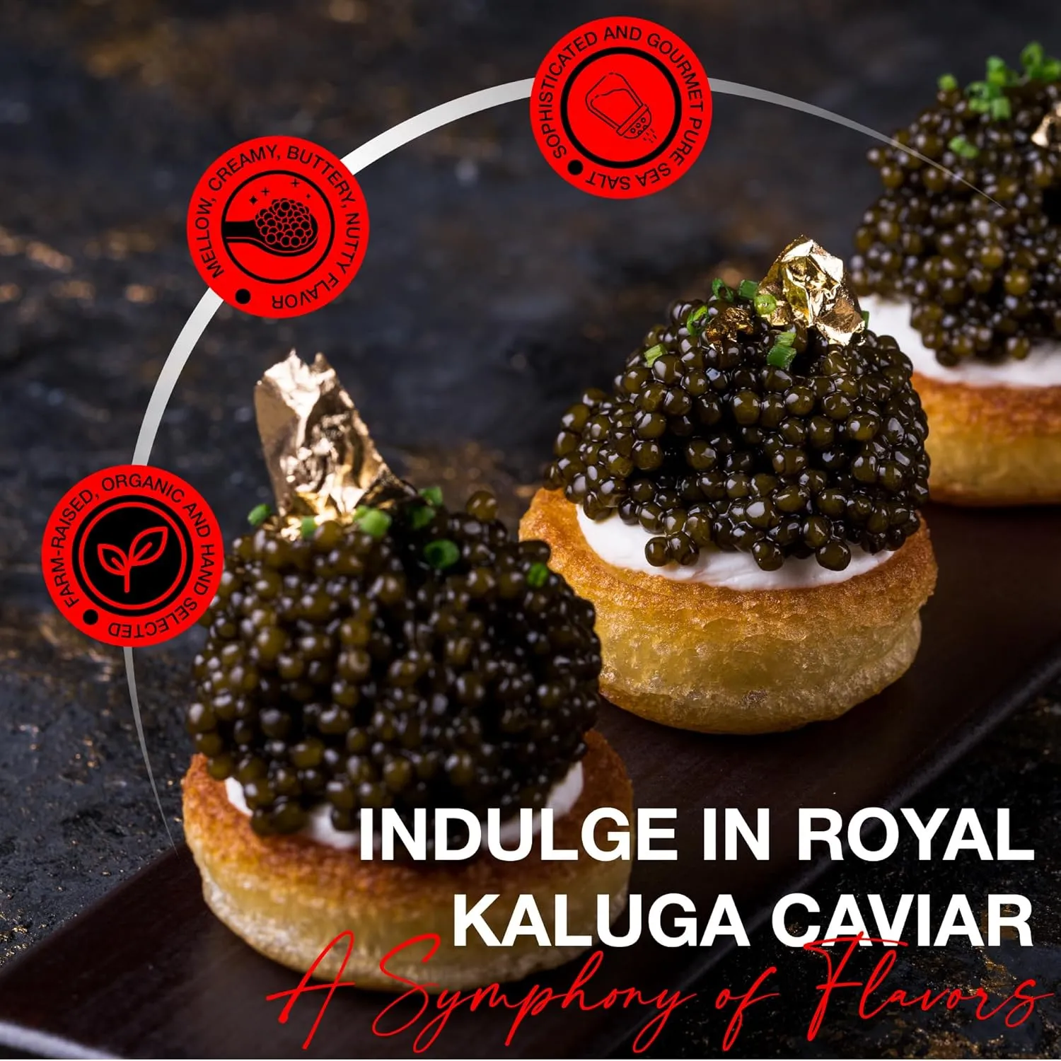 OVERNIGHT SHIPPING- OLMA Kaluga Sturgeon Black Caviar - Large Pearly Grains, Smooth Flavor, Superior Grade - 4.4 oz / 125 g