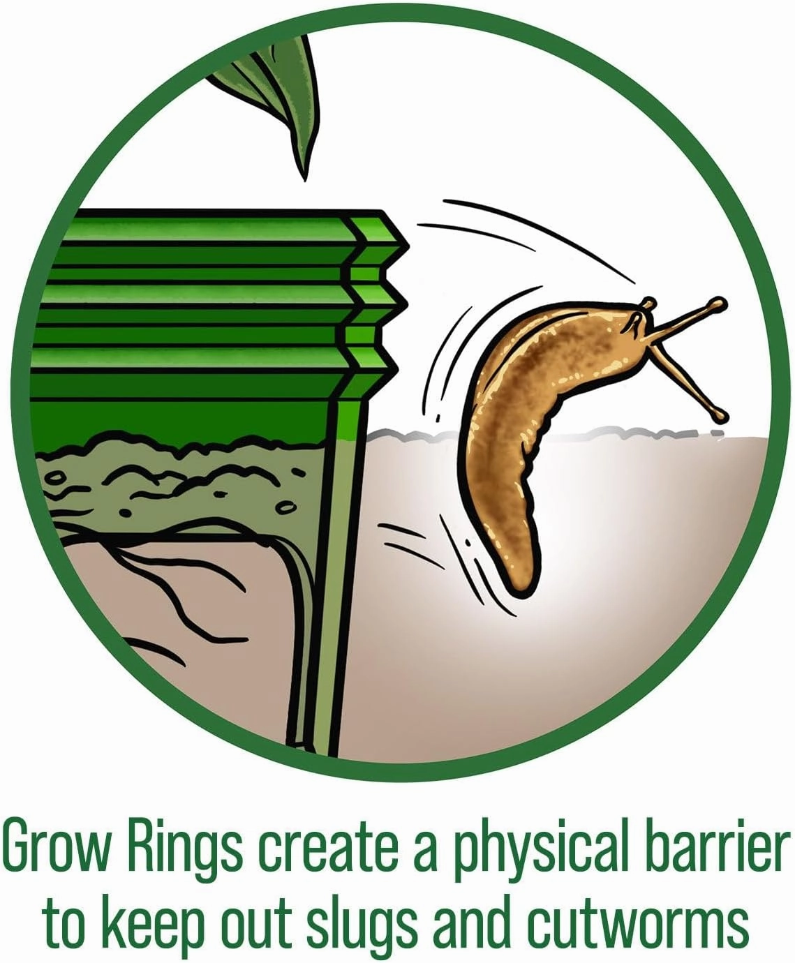 Planting Grow Rings, Round 7 inch, Perfect for Deep Watering Veggies Herbs and Flowers, Protection and Edging of Garden Plants, Green, Made in The USA - Pack of 6