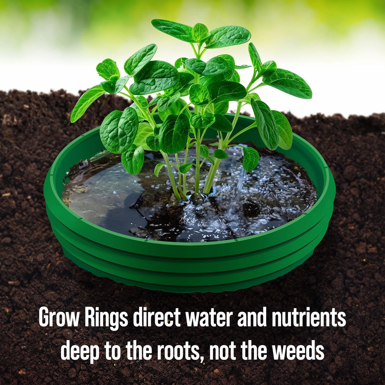 Planting Grow Rings, Round 7 inch, Perfect for Deep Watering Veggies Herbs and Flowers, Protection and Edging of Garden Plants, Green, Made in The USA - Pack of 6
