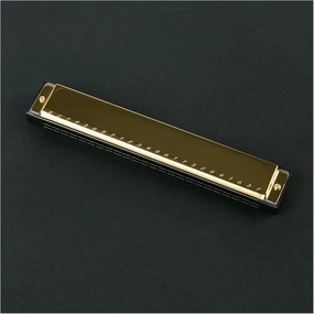 Polyphonic C Harmonica 24 hole Teaching Introduction Beginner Adult Blues(Gold)