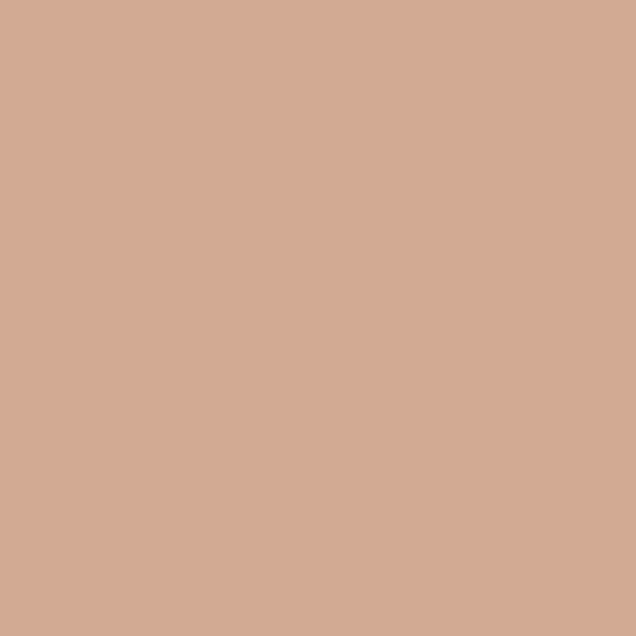 Pro Caramel Powder Foundation - Medium Almond Finish