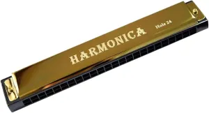 Professional 24 Hole Harmonica For Beginners With Case(Gold)