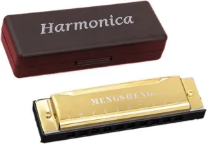 Professional Music Lovers Playing Type 10 Hole 10 Tone Harmonica(Gold)