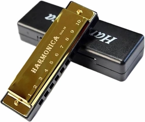 Professional Adults Harmonica Key Of C 10 Hole Diatonic With Case(Gold)