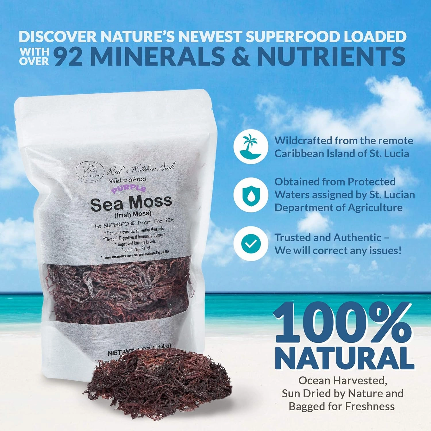Purple Sea Moss | Irish Moss | Wildcrafted from St. Lucia | 100% Natural | Makes Over 50oz Seamoss Gel - 4oz