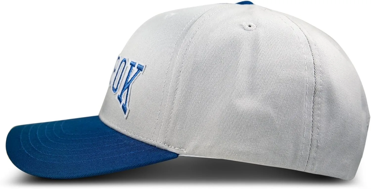 Reebok Classic Hat | Snapback | Adjustable | Baseball Cap | Embroidered | Casual | Lifestyle | Athletic | Sports | Retro