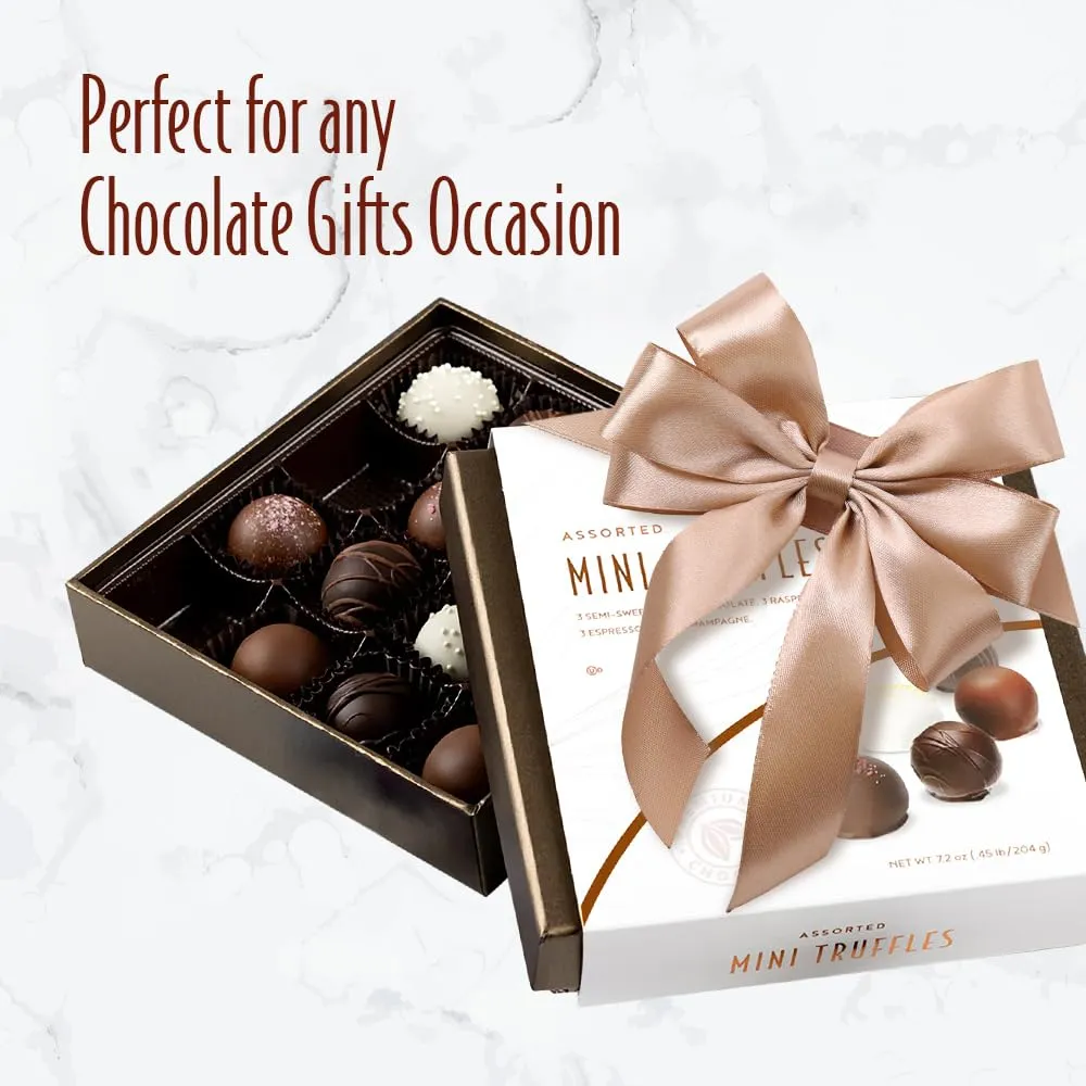 Rocky Mountain Chocolate Factory Mini Gourmet Truffles Gift Box - Handcrafted Truffles with Best Chocolate Flavors - Elegant Gift Box for Chocolate Lovers - 16 piece Mini Truffle Box