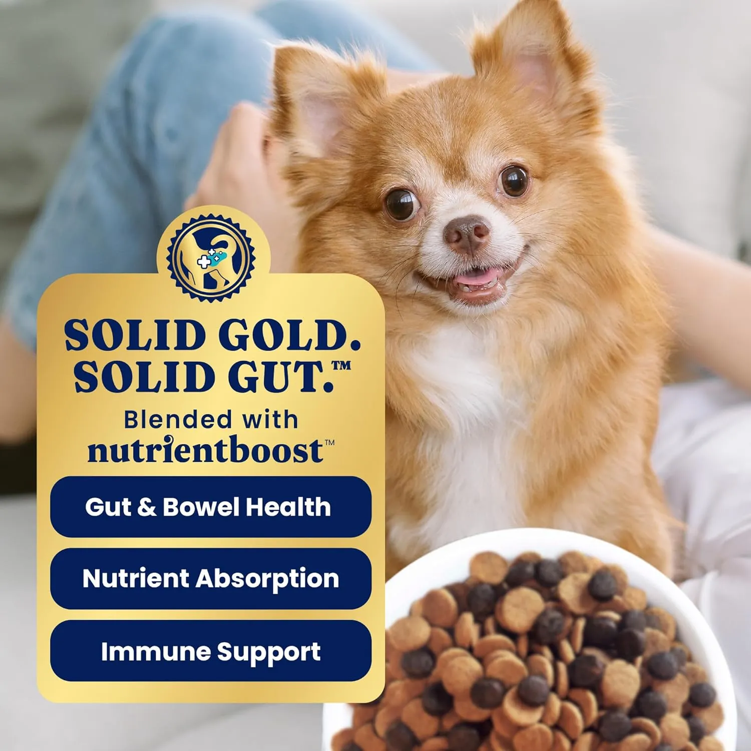 Solid Gold Toy & Small Breed Dog Food Dry Small Bites – Real Bison & Healthy Whole Grain Dogfood – Potato Free, High Fiber Healthy Dog Kibble w/Probiotics for Gut Health – NutrientBoost – 3.75 lb