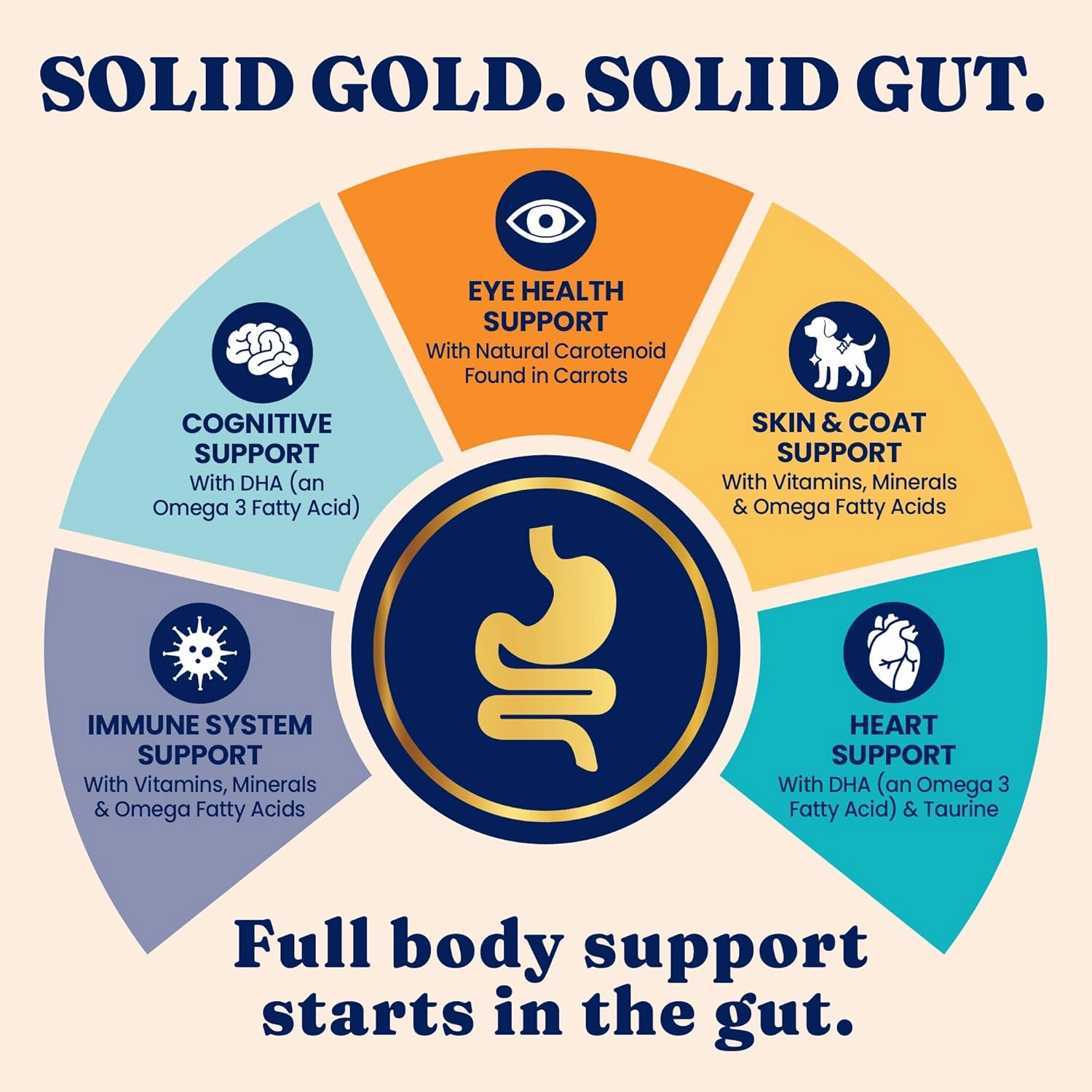 Solid Gold High Protein Dry Cat Food - Indigo Moon Made with Digestive Probiotics for Cats - Grain & Gluten Free with High Fiber & Omega 3 - Low Carb Superfood Meal - Chicken - 12lb