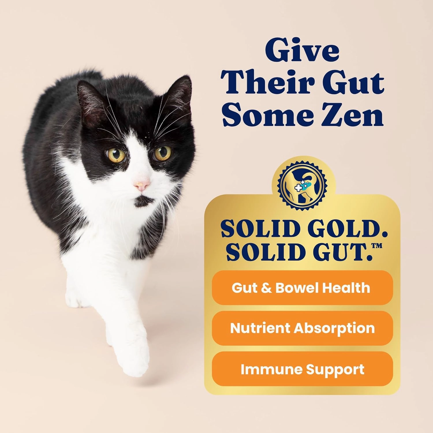 Solid Gold High Protein Dry Cat Food - Indigo Moon Made with Digestive Probiotics for Cats - Grain & Gluten Free with High Fiber & Omega 3 - Low Carb Superfood Meal - Chicken - 12lb