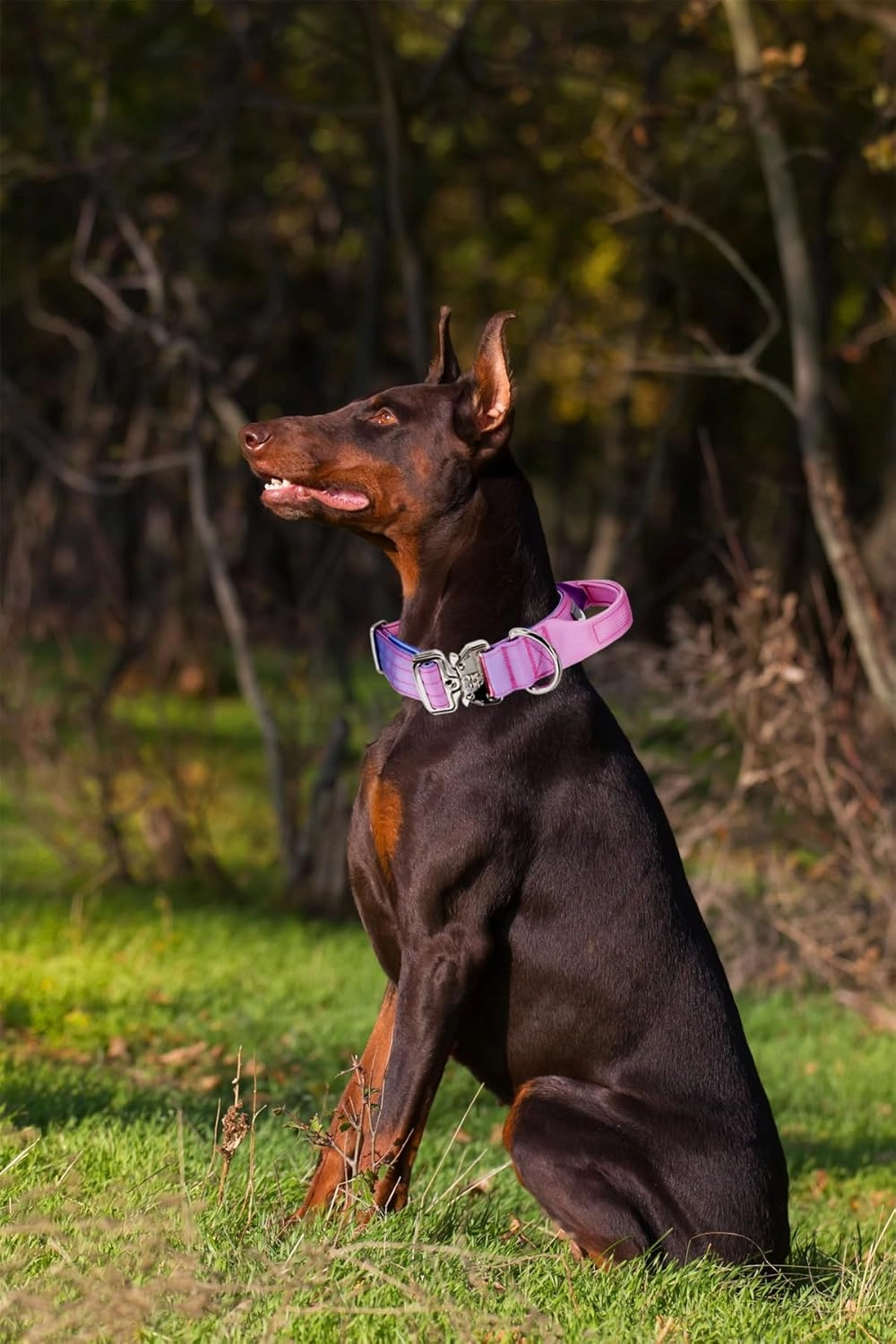 Tactical Dog Collar, Wide Thick Heavy Duty Dog Collar with Handle, Soft Neoprene Padded Military-Grade Nylon Training Collar with Quick Release Metal Buckle for Large Dogs (Pink, L,XL)