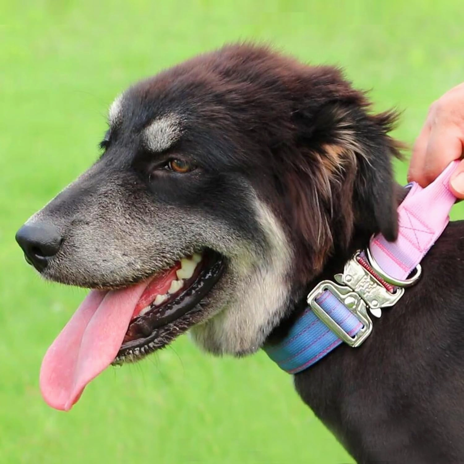 Tactical Dog Collar, Wide Thick Heavy Duty Dog Collar with Handle, Soft Neoprene Padded Military-Grade Nylon Training Collar with Quick Release Metal Buckle for Large Dogs (Pink, L,XL)