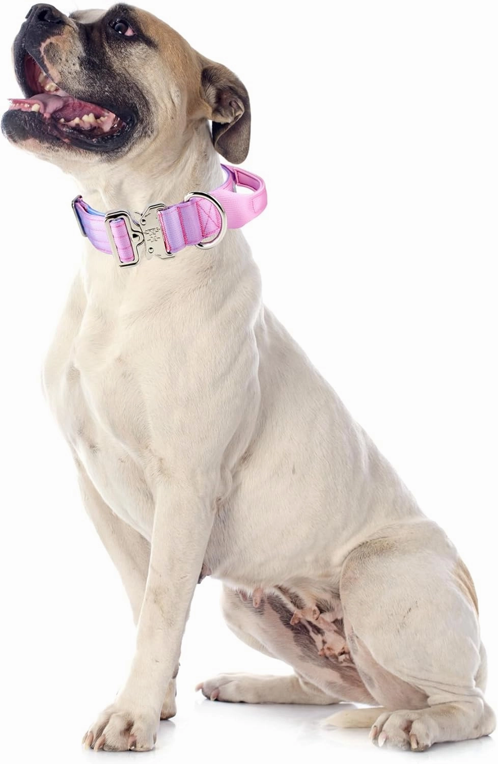 Tactical Dog Collar, Wide Thick Heavy Duty Dog Collar with Handle, Soft Neoprene Padded Military-Grade Nylon Training Collar with Quick Release Metal Buckle for Large Dogs (Pink, L,XL)