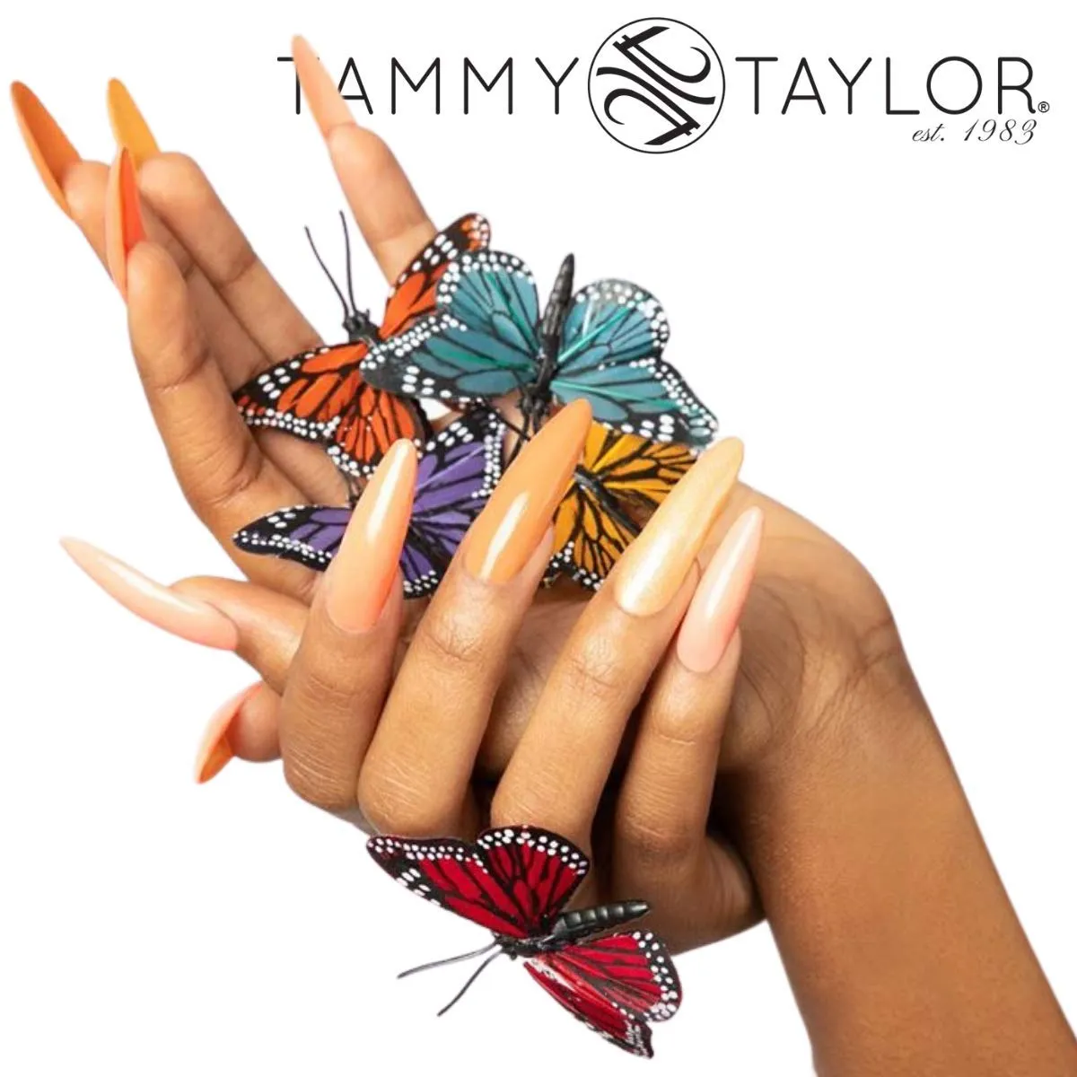 Tammy Taylor Pretty in Peach | Entire Collection Bundle