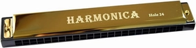 Transparent Box 24 Hole Harmonica C Tune Professional Practice Performance Type(Gold)