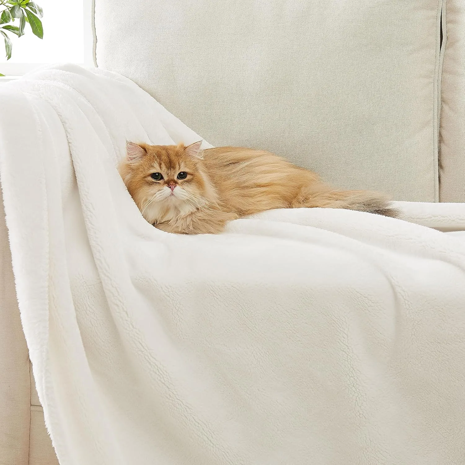 UGG Whitecap Plush Throw Blanket Fleece Lightweight Soft Cozy Throw for Couch Luxury Home Decor for Living Room Machine Washable Hypoallergenic Flannel Blankets, 50-inch x 70-inch, White Snow