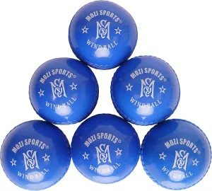 Wind Cricket Balls - Indoor & Outdoor Soft Training Cricket Ball for Coaching Practice